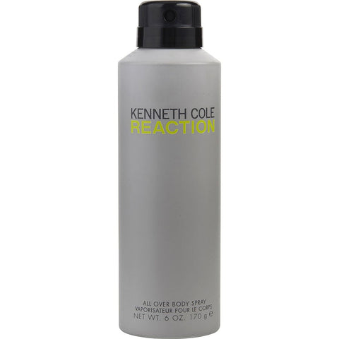Kenneth Cole Reaction Men Body Spray